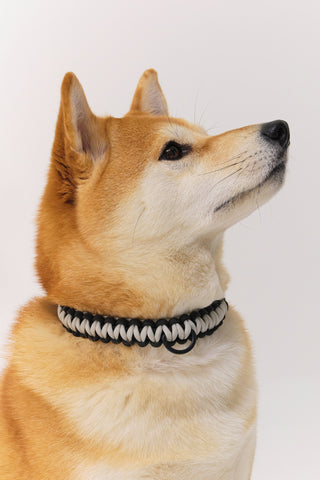 Maedeup (Korean Knots) Dog Collar & Leash Set - Black & White