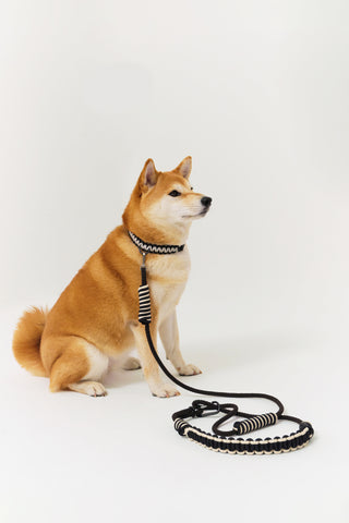 Maedeup (koreanische Knoten) Hundehalsband und Leine-Set – Schwarz und Weiß