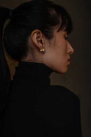 Pi Earrings