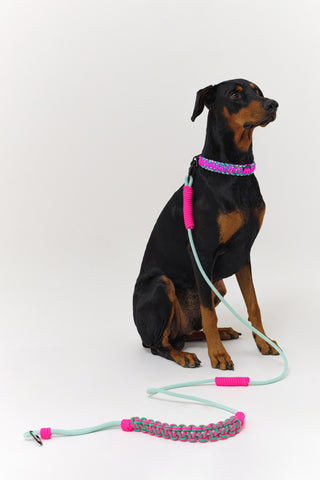 Maedeup (koreanische Knoten) Hundehalsband und Leine-Set – Pink und Mint
