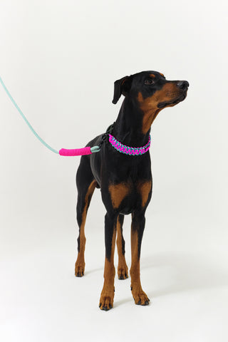 Maedeup (koreanische Knoten) Hundehalsband und Leine-Set – Pink und Mint